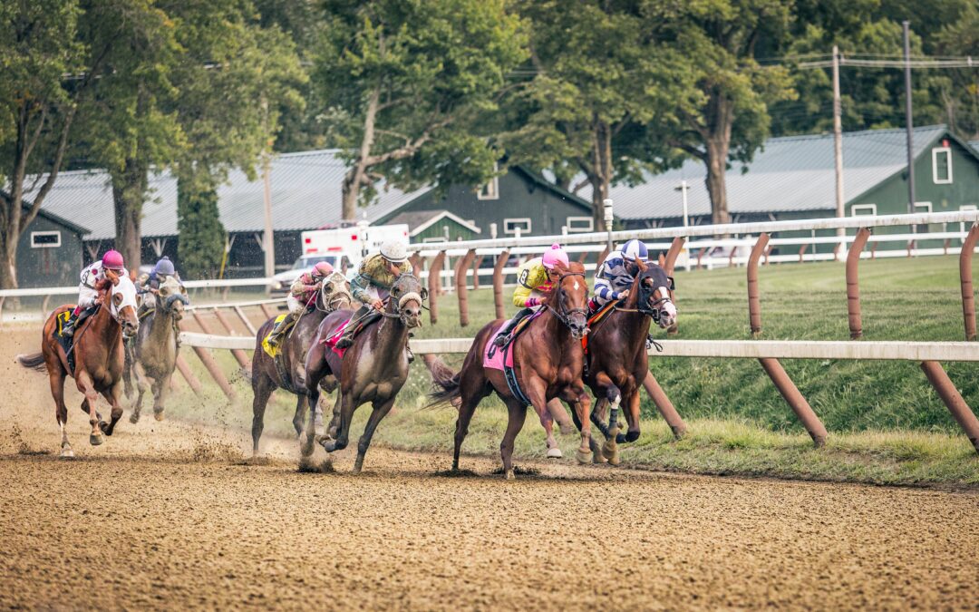 Effective Approaches To Betting On Horse Races